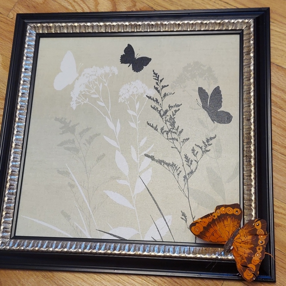 Butterfly nature picture